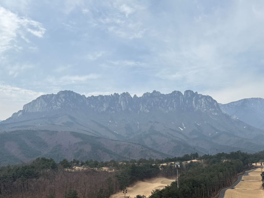 본다면 어떻게 하겠느냐?(요 6:62)