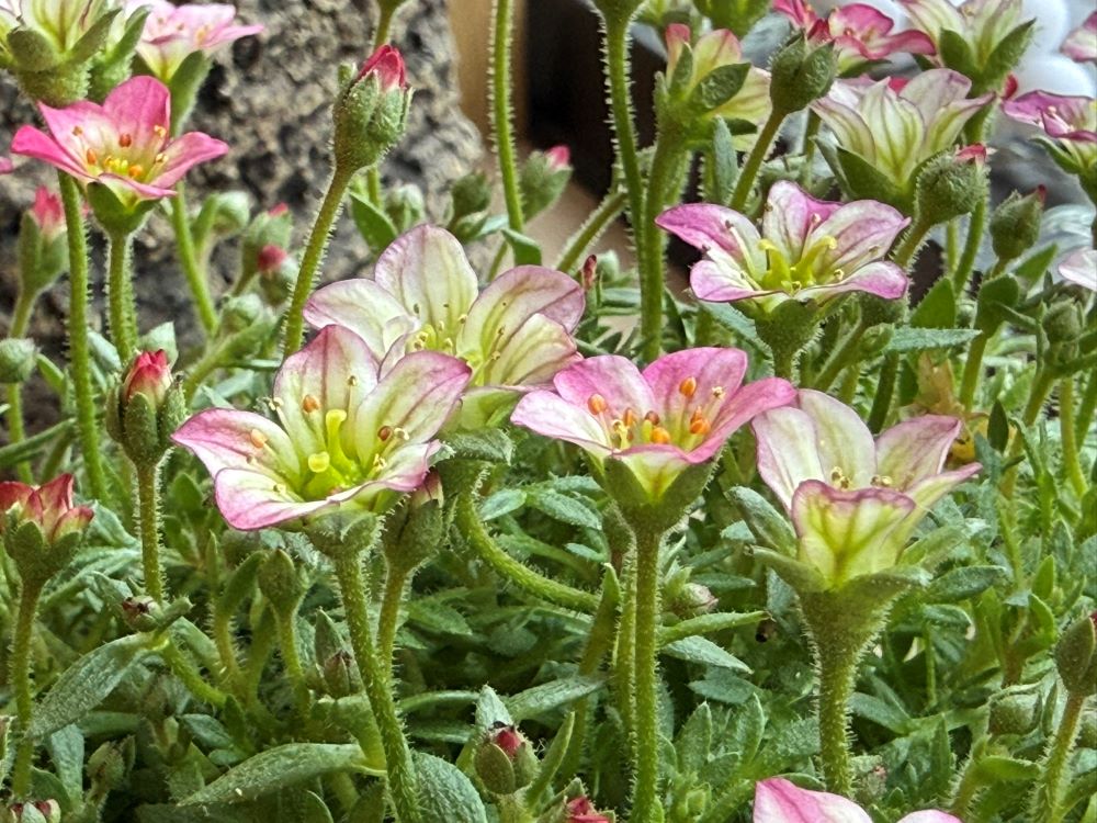 상호내주(요 6:56)