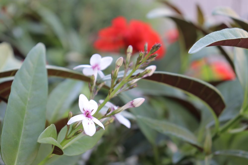 다만 악에 빠지지 않게 보전하소서(요 17:15)