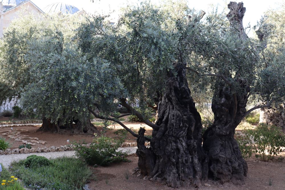 또 다른 보혜사(요 14:16)