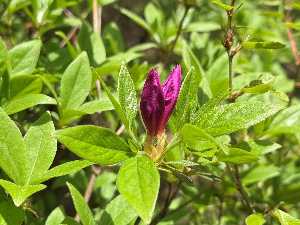 과연 여기 계시거늘(창 28:16)