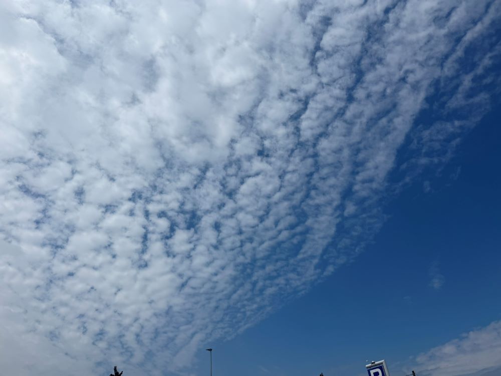 하나님의 은혜(고전 15:10)